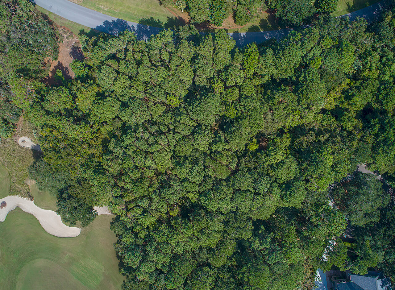 28 Green Meadow Lane Kiawah Island Real Estate